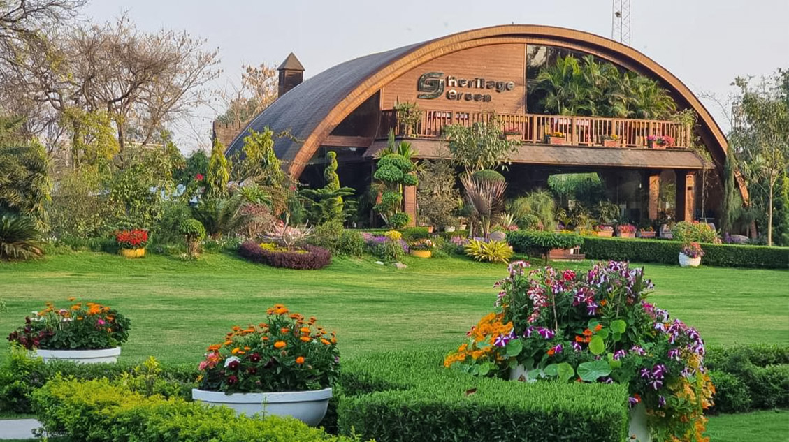 Holistic Wellness Programs Tailored to Individual Needs